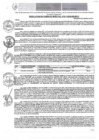 Vista preliminar de documento RGM-611-2024-GM-MPLC