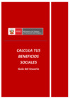 Vista preliminar de documento Manual CBS