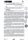 Vista preliminar de documento rd207-2024