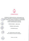 Vista preliminar de documento INFORME DE CUMPLIMIENTO II TRAMO 2024 - SECTOR SALUD