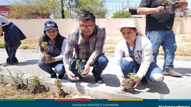 ✅En el marco de la Semana de la Gestión Integral de Residuos Sólidos – DIADESOL 2024, la Gerencia de Desarrollo Ambiental, en coordinación con el Programa Municipal Educca, encabezado por la Lic. Liliana Lezama Oribe, y en colaboración con el Abg. Jhonatan Alexander Vásquez Vera, director de la Aldea Infantil San Antonio, llevó a cabo una importante jornada de recuperación de áreas verdes. En esta ocasión, las protagonistas fueron las Promotoras Ambientales Escolares de la Institución Educativa Santa Teresita, quienes, con una pasión admirable por el cuidado del ambiente, dejaron su huella verde en los jardines de la aldea.
🗣Armadas con plantas ornamentales y un profundo compromiso con la naturaleza, estas jóvenes promotoras demostraron ser verdaderas guerreras en la lucha por un entorno más limpio y saludable. Durante la jornada, sembraron diversas especies de plantas ornamentales, que no solo embellecen los jardines de la Aldea Infantil San Antonio, sino que también promueven el cuidado del ambiente.
✔Esta actividad refuerza el mensaje de que, a través de pequeñas acciones, es posible generar un gran impacto en la conservación de nuestras áreas verdes. Gracias al esfuerzo conjunto de la Municipalidad Provincial de Cajamarca, el Programa Municiapal  Educca y los promotores ambientales escolares, se continúa trabajando por una ciudad más verde y sostenible.