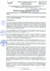 Vista preliminar de documento R.A Nº 071-2024