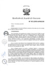 Vista preliminar de documento N°012-2018-APN-DIR