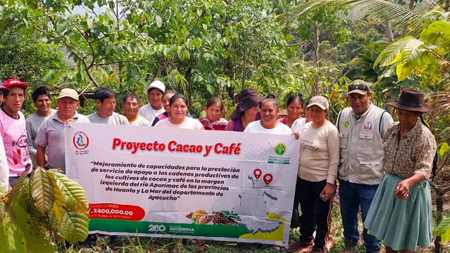 Más de 200 productores del VRAE potencian sus capacidades agrarias a través de escuelas de campo 