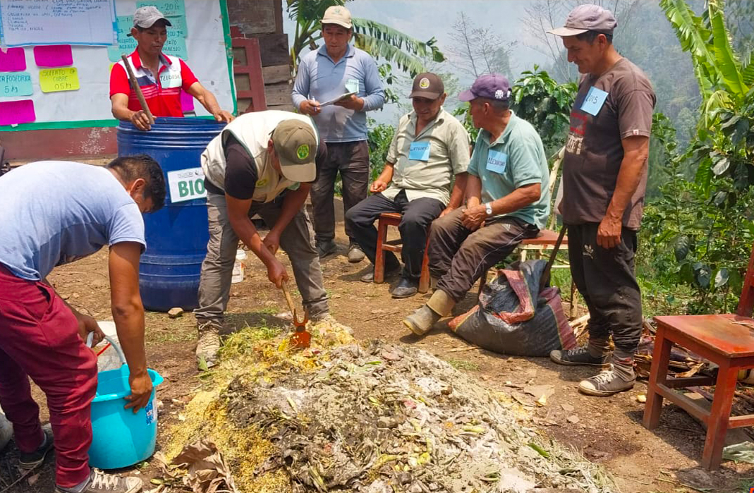 Más de 200 productores del VRAE potencian sus capacidades agrarias a través de escuelas de campo 