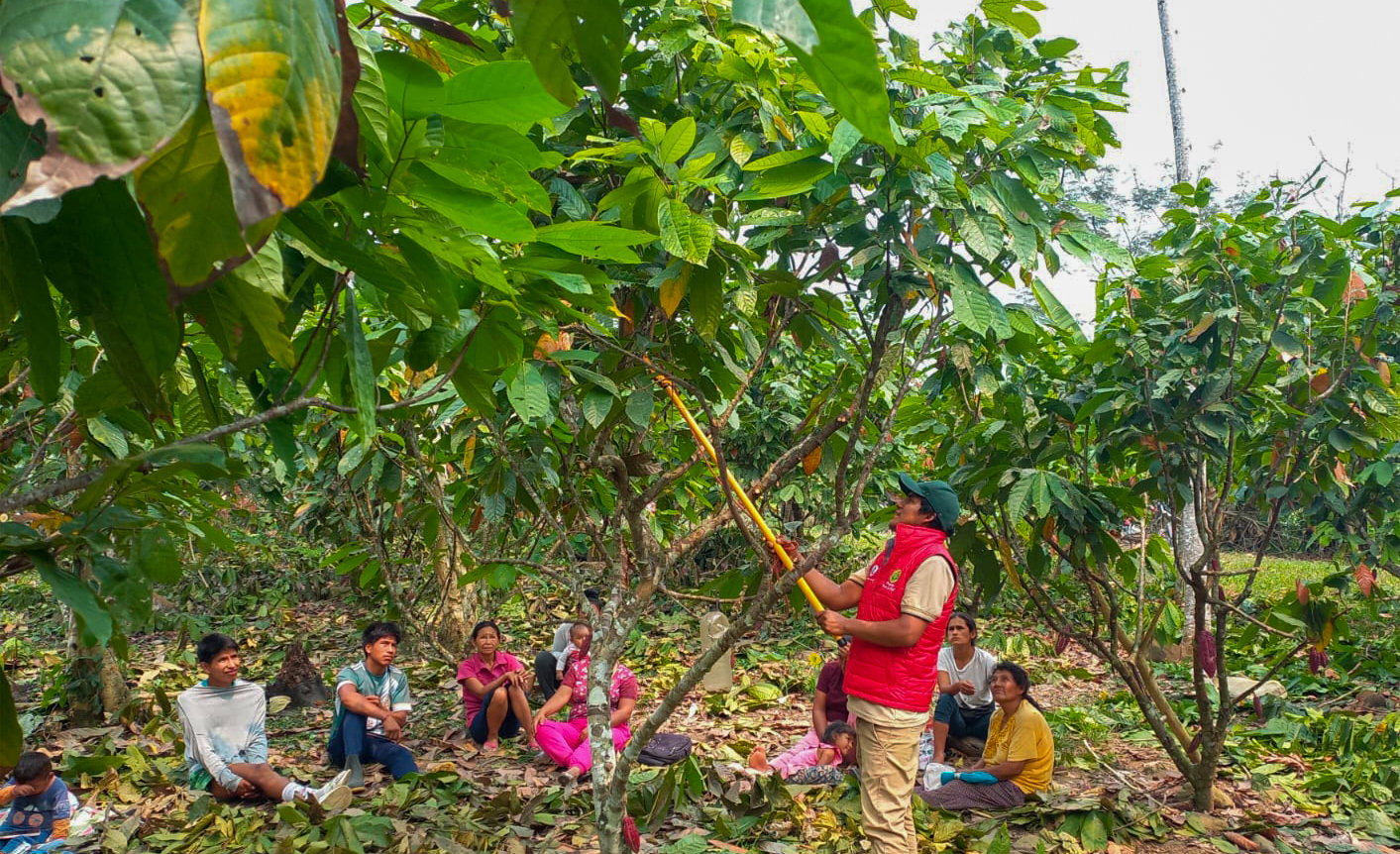 Más de 200 productores del VRAE potencian sus capacidades agrarias a través de escuelas de campo 
