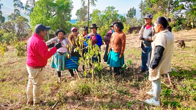 
 El proyecto Agroforestal de la Dirección Regional de Agricultura Ayacucho ha llegado a diversas comunidades de la provincia de Huanta para brindar capacitaciones en el manejo agronómico de plantaciones de tara, eucalipto y palta a decenas de agricultores. 