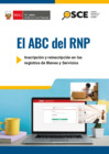 Vista preliminar de documento ABC del RNP