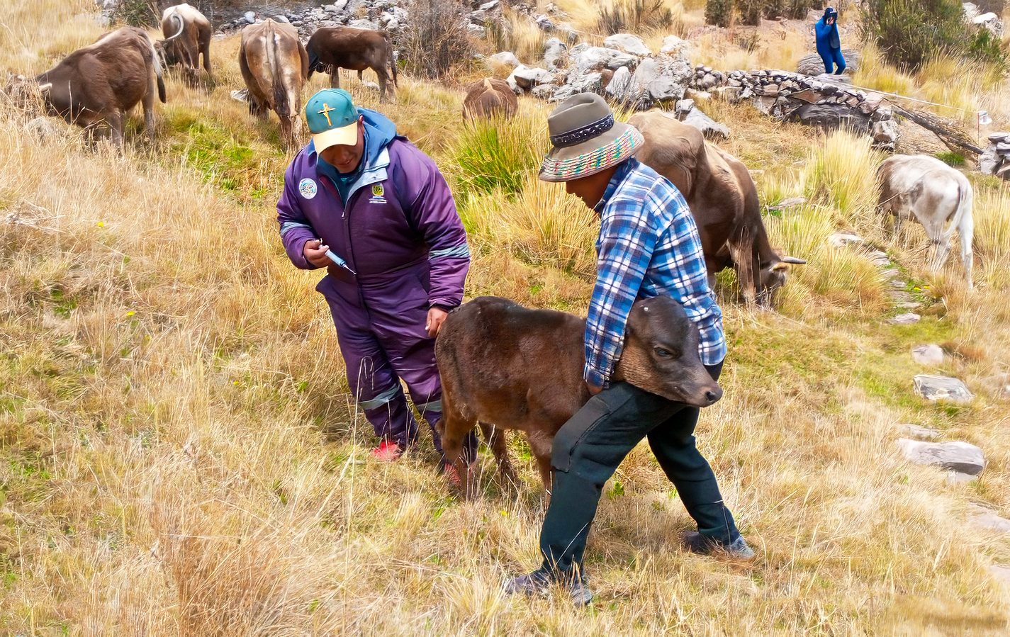 DRA Ayacucho promueve campaña de sensibilización ante incendios forestales