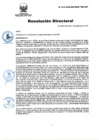 Vista preliminar de documento RD Nº 219-2024-DGINSM-HD-HN