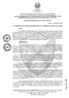 Vista preliminar de documento RP-0025-2024-UNDC