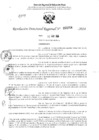 Vista preliminar de documento RDR 3254-2024
