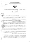 Vista preliminar de documento RDR 3255-2024