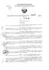 Vista preliminar de documento RDR 3256-2024