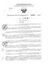 Vista preliminar de documento RDR 3259-2024