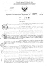 Vista preliminar de documento RDR 3260-2024