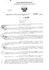 Vista preliminar de documento RDR 3262-2024
