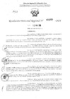 Vista preliminar de documento RDR 3263-2024