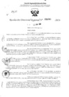 Vista preliminar de documento RDR 3265-2024