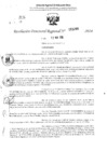 Vista preliminar de documento RDR 3266-2024