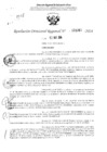 Vista preliminar de documento RDR 3267-2024