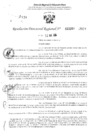 Vista preliminar de documento RDR 3269-2024