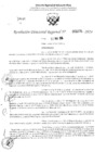 Vista preliminar de documento RDR 3270-2024