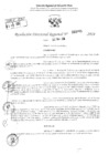 Vista preliminar de documento RDR 3295-2024