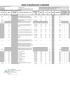 Vista preliminar de documento Anexo N° 156-2024-DV-GG