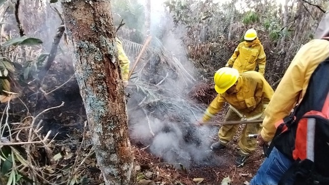 brigadas incendios alto mayo