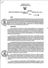 Vista preliminar de documento RGSR_2024_1002