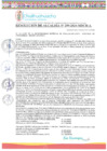 Vista preliminar de documento RA-299-2024-MDCH-A