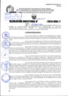 Vista preliminar de documento R.D 1817-2024