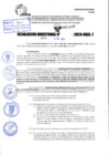 Vista preliminar de documento R.D 1459-2024