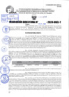 Vista preliminar de documento R.D 1452-2024