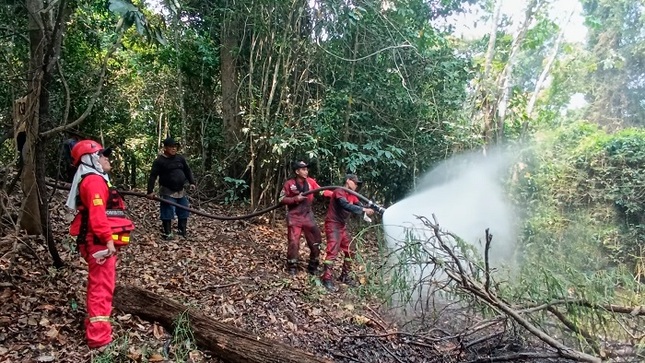 incendio forestal pacaya