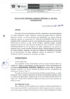 Vista preliminar de documento RER-085-2024-GOREMAD-GGR