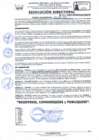 Vista preliminar de documento RD Nº 002-2024