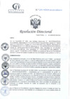 Vista preliminar de documento RD N°290-09-2024-DE-HCLLH-MINSA