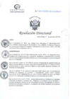 Vista preliminar de documento RD N°294-09-2024-DE-HCLLH-MINSA