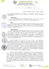 Vista preliminar de documento ORDENANZA MUNICIPAL N° 009