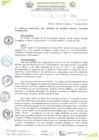 Vista preliminar de documento ORDENANZA MUNICIPAL N° 010