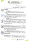 Vista preliminar de documento ORDENANZA MUNICIPAL N° 011