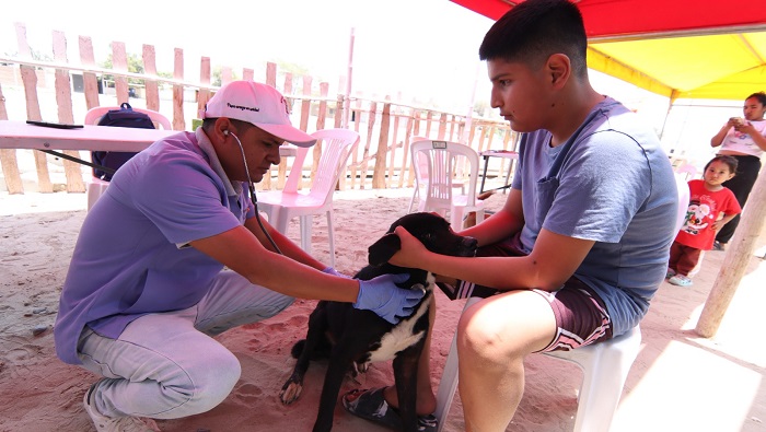 Veterinaria Municipal PATITAS