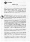 Vista preliminar de documento Ordenanza N°0454-MDPP