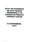 Vista preliminar de documento ACTA DE ACUERDOS IV SESION ORDINARIA Y III CONSULTA PUBLICA