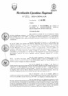 Vista preliminar de documento RER 253