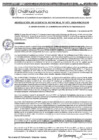 Vista preliminar de documento RGM 1071-2024