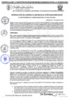 Vista preliminar de documento RGM 1074-2024