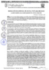 Vista preliminar de documento RGM 1077-2024